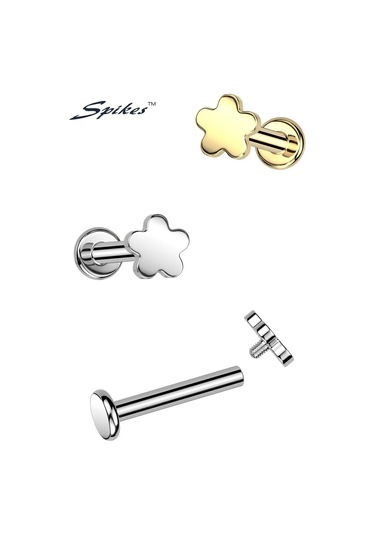 Spikes Helix Tragus İçin Çiçek Şeklinde Titanyum Labrete 413677967 Diğer