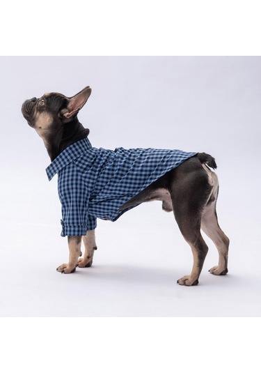 Mavi Luss Kedi Köpek Gömleği - Kedi Köpek Kıyafeti