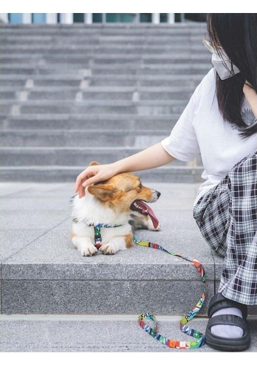M-pets Urban Style Freestyle Köpek Göğüs Tasması L Pembe
