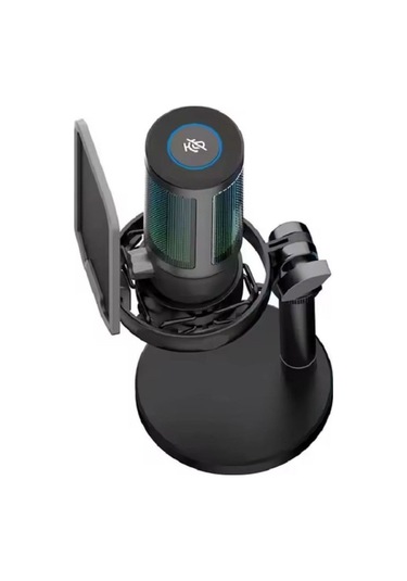 U850 Kayıt Condenser Pop Filtre Kardioid Mikrofon + Tripod