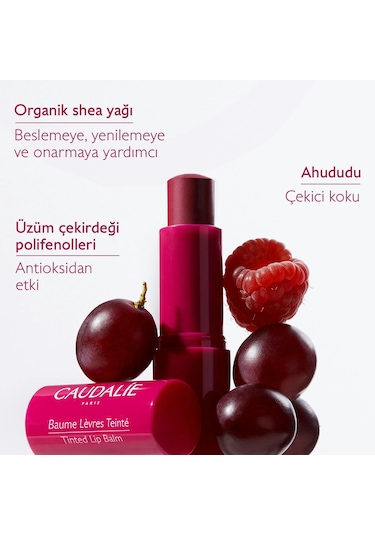 Caudalie Tinted Lip Balm 4.5 G