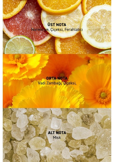 Alix Avien Soie Kadın Parfüm EDP 45 ML