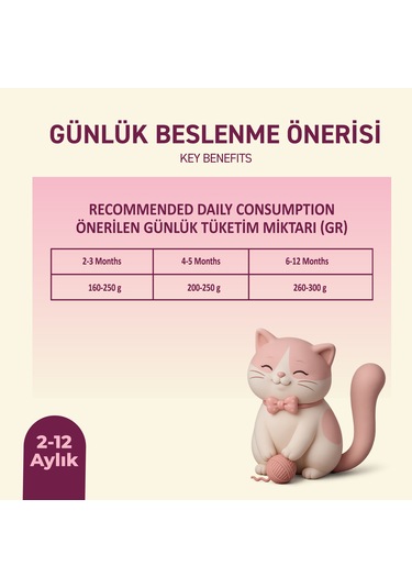 Tavuklu Yaş Konserve Yavru Kedi Maması, Jöle İçinde Parça Etli, 400 Gr X 12 Adet