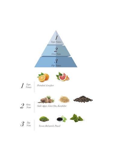 Prova Heracles Erkek Parfüm EDP 100 ML