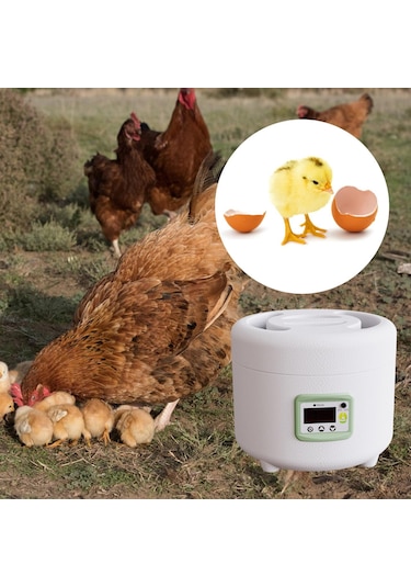 Suntek Otomatik Yumurta Kuluçka Makinesi Ev Ördek Güvercin