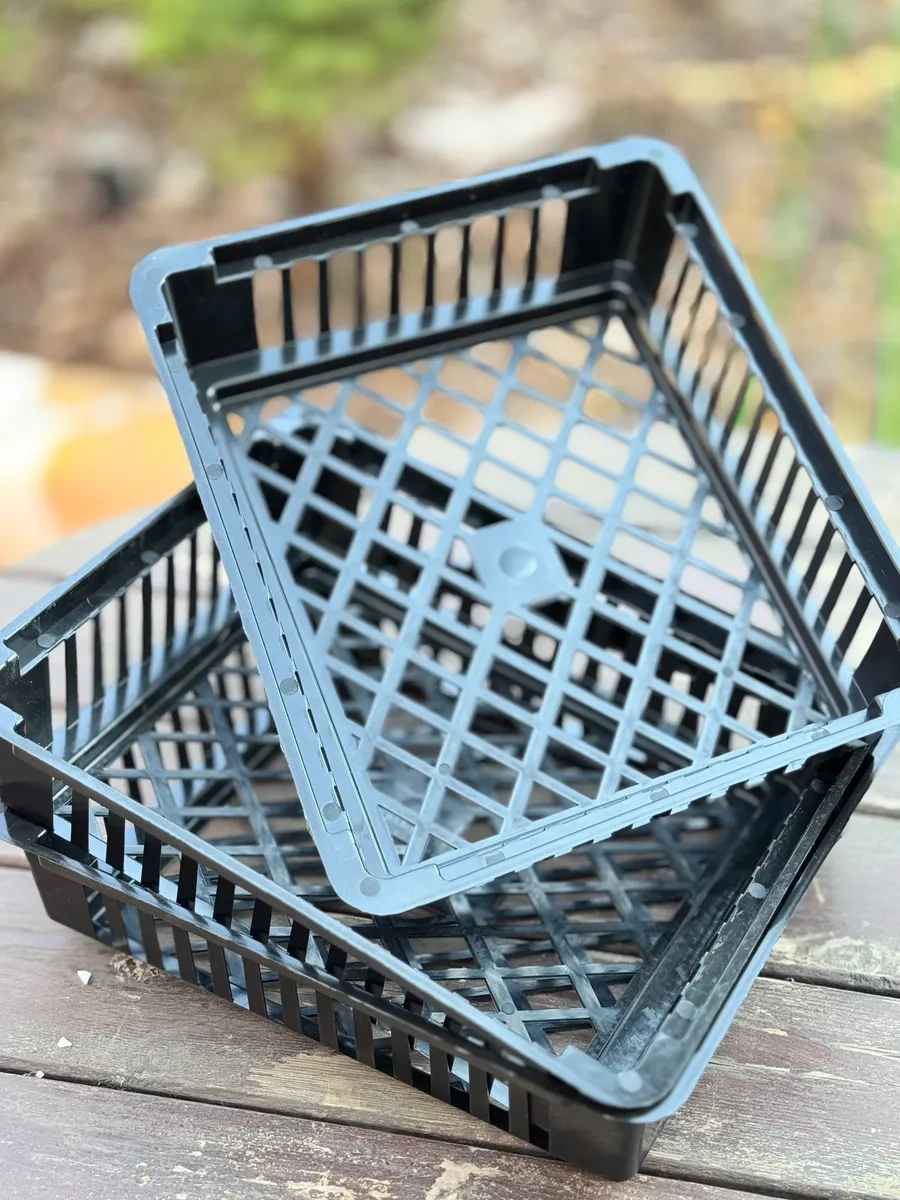 Botanikum Soğanlı Bitkiler Ve Kelebek Yetiştirme Sepeti 324986763