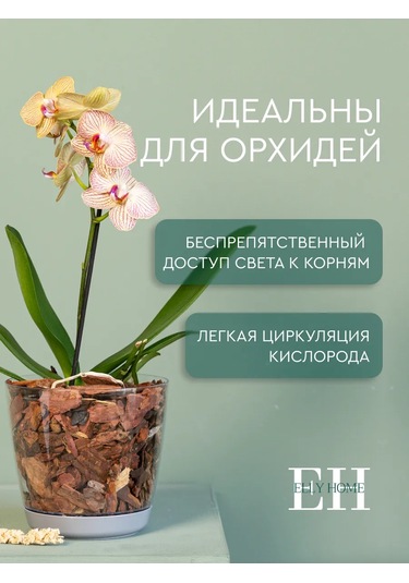 Elly Home Orkide İçin Büyük Şeffaf Saksı 171430255