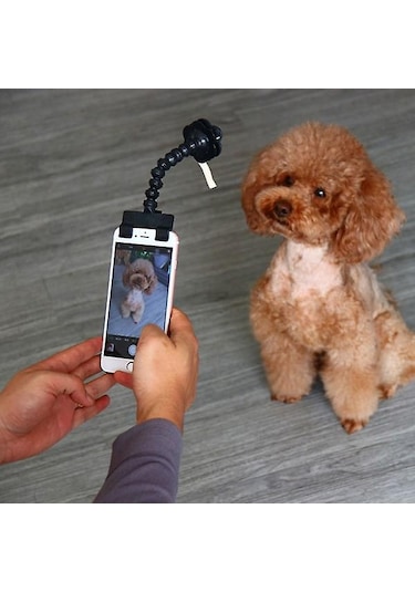 Ayarlanabilir Evcil Hayvan Selfie Çubuğu Telefon Tutucu Evcil Hayvanlar İçin Köpek Kedi İçin Telefon İçin Siyah