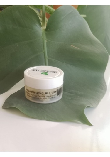 Organique Cilt Yenileyici Yaşlanma Karşıtı Bakım Kremi 50 ML