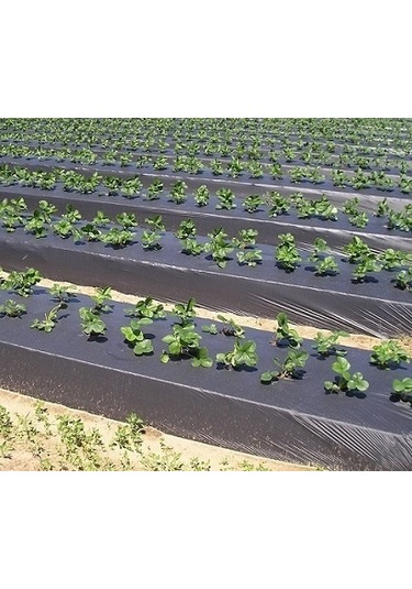 Malç Naylon Eni 130 CM 5 M Çilek Naylonu Malç Örtüsü