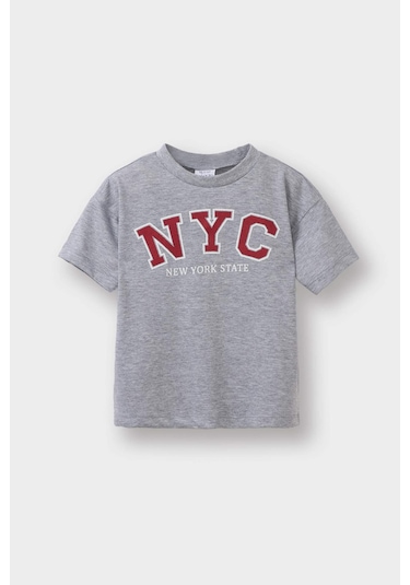 Defacto Erkek Bebek Bisiklet Yaka Baskılı Kısa Kollu Tişört E1124a525smgr396 Gri