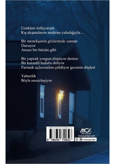 Yağmurun İçinden Geliyorum / Bahadır Apaydın