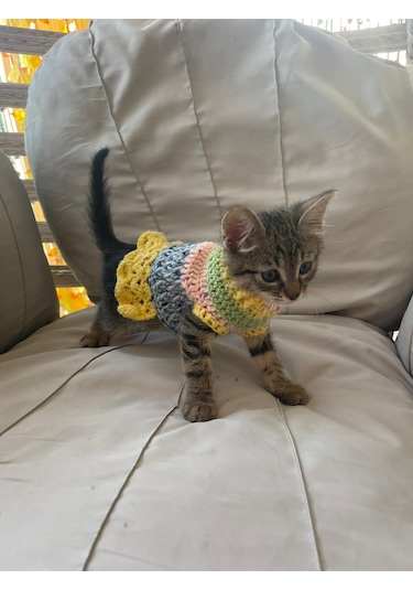 Pati Kedi Köpek Örme Fırfırlı Elbise Renkli Giyim Pet