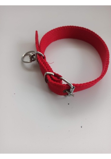 Kozaklı Orta Irk Köpek Tasması Kırmızı 60 x 3 CM