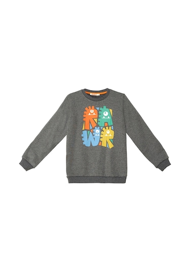 Denokids Rawr Tırtırlı Erkek Çocuk Antrasit Eşofman Takım Antrasit