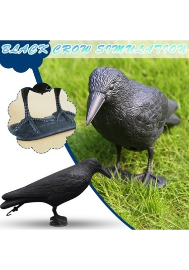 Bitki Koruyucu Haşere Kovucu Heykel Karga Dh