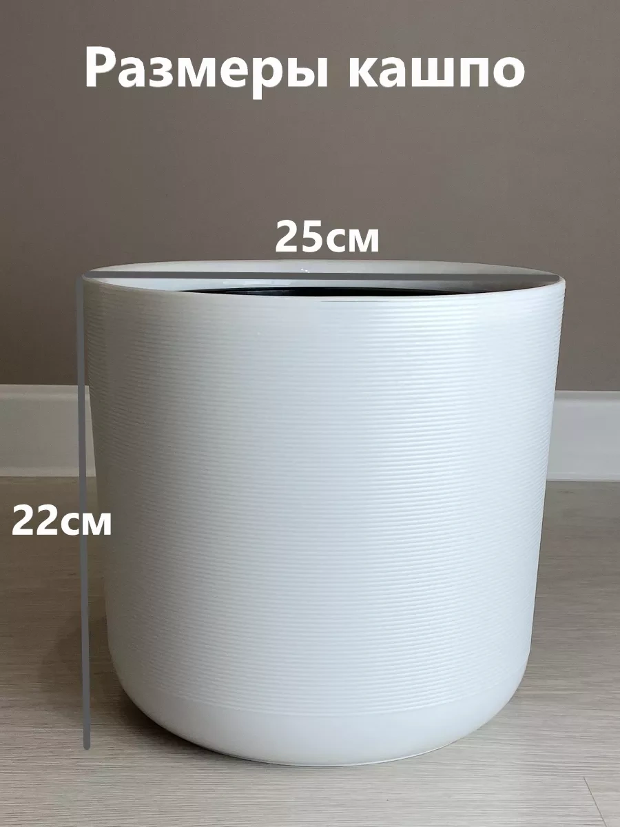 Live-in-green Ev İçin Saksı/zemin/çiçek Saksısı/plastik/büyük 166957247