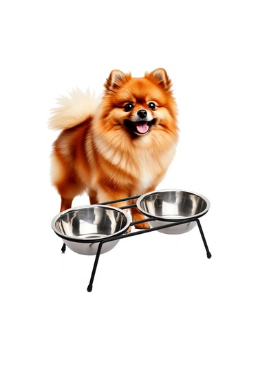 Infıld 0,6 L Mama Kabı Standı 234997064