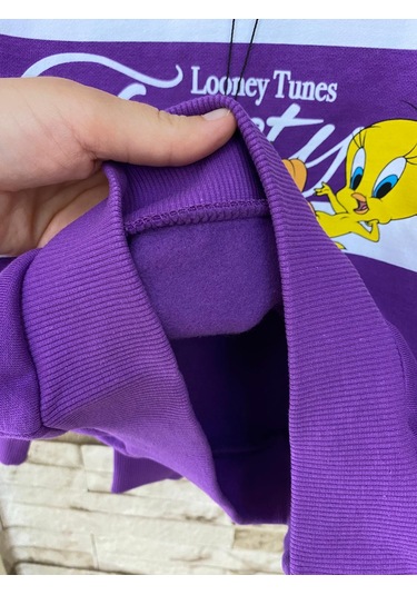 Aysbebe Tweety Baskılı Kız Çocuk Sweatshirt Mor AY-M7S10073-70633