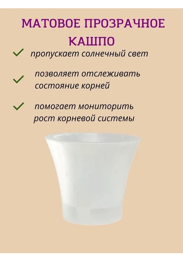 Live-in-green 2l Şeffaf Plastik Orkide Saksı S 342131425