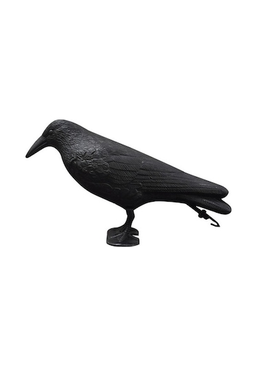 Dancemonkey Bitki Koruyucu Haşere Kovucu Heykel Karga+yıldız, Doğa İle Uyumlu Köpek