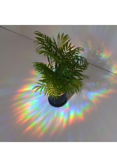 Şık Pencere Çok Renkli Şeffaf Etiket Rahat Dokunmatik Desen G Diğer