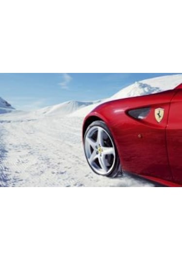 Shell Coolant Essential M Rtu Hazır Mavi Antifiriz-1 Litre