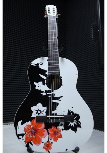 Masterwork Mwc3900Wh Model Resim Baskılı 4/4 Tam Boy Klasik Gitar