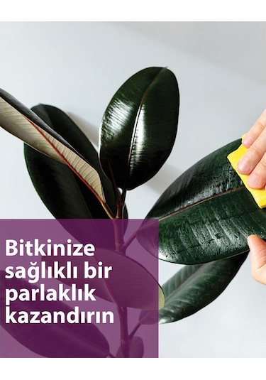 Petroturk Yaprak Parlatıcı 250 Ml 1