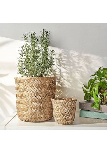Bambu Saksı, Bambu, 24 Cm 3 Adet