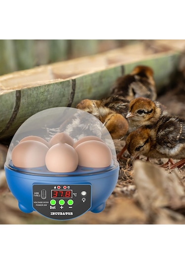 Suntek Yumurta Kuluçka Makineleri Otomatik Civciv Kuluçka