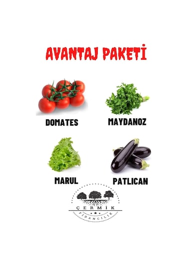 Tohum Paketi Domates , Maydanoz, Kıvırcık Marul ,patlıcan, 40 Gr