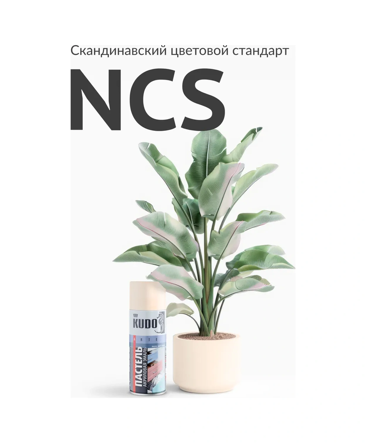 Kudo Pastel, Bej Sprey Boya 341688444