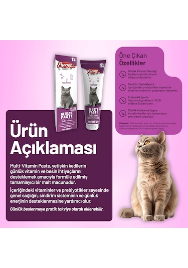 Yetişkin Kedi Multi Paste 100 G - 24 Adet