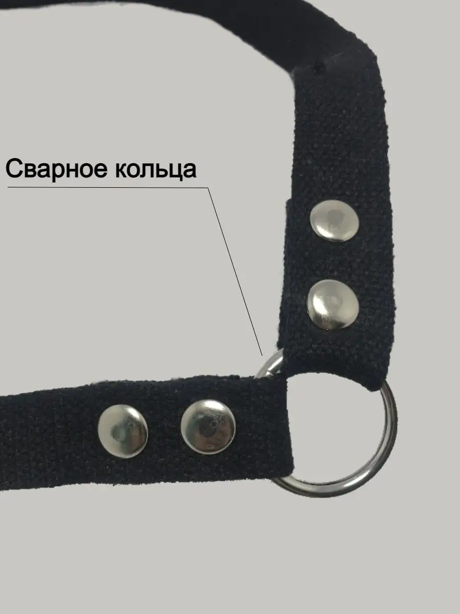 Tehpro44 İki Köpek İçin Branda Tasma Askısı 144781907 Siyah