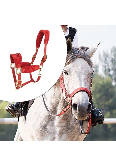 Homyl At Yuları Yastıklı Ayarlanabilir Kırmızı-m Kırmızı M