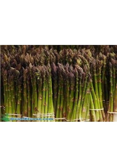 10 Adet Tohum Kuşkonmaz Tohumu Nadir Bulunan Kuş Konmaz