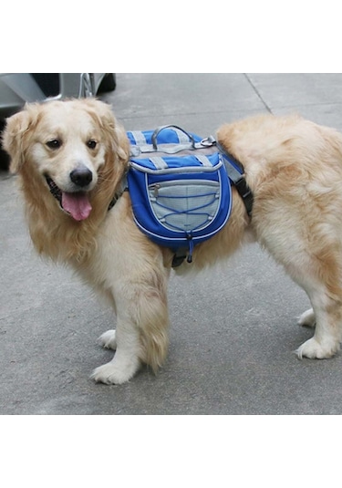 Sones Sırt Çantasının Dışındaki Köpekler İçin Kendinden Taşınabilir Sırt Çantası Nefes Alabilir Örgü Pet Çanta