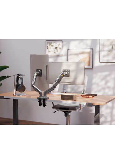 Ergoflex Nb North Bayou F160 17-27" Çift Kol 2-9 KG Amortisörlü Monitör Standı