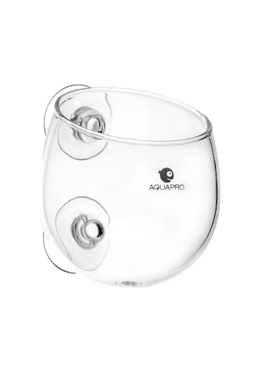 Aquapro Glass Plant Pot Cam Bitki Saksısı