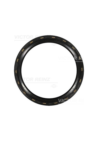 V.REINZ 81-20004-30 Shaft Oıl Seal