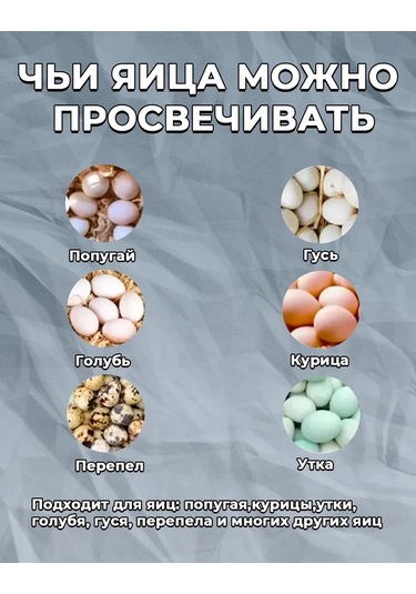 Mixdazzle Yumurta Kontrolü İçin Kuluçka Ovoskopu 396985746