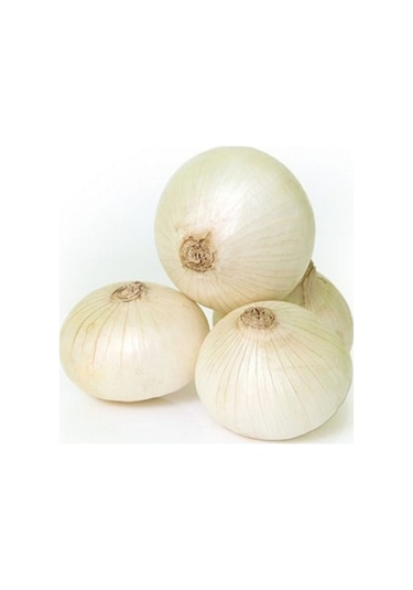 Eko Paket Beyaz Tatlı Soğan Tohumu Beyaz Soğan Tohumu 650 Adet Tohum