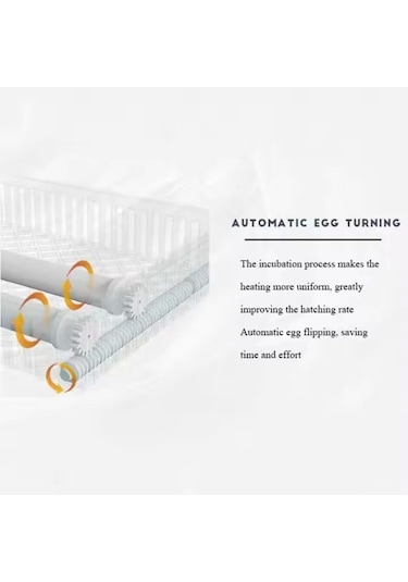 48 Tavuk Yumurtası Kapasiteli Tam Otomatik Hobi Kabin Tip Kuluçka Makinesi