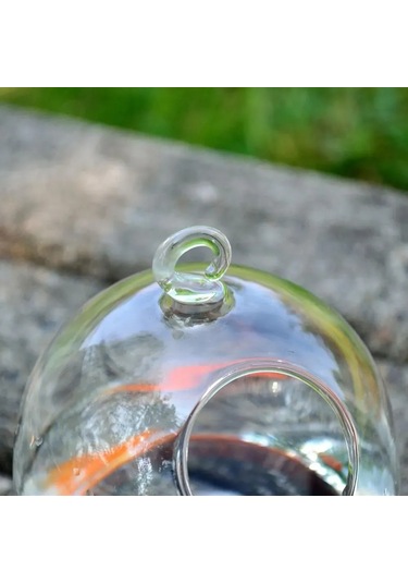 Gajeena El Yapımı Cam Akvaryum - Transparent Borosilikat Cam, Beyaz Askı Tutucu İle Ev Dekorasyonu