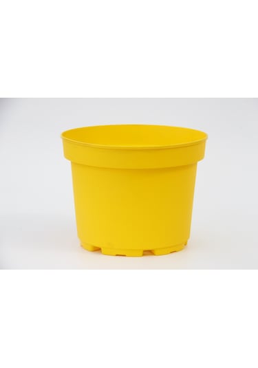 Rengarenk Saksı Seti - 5 Renk 10 Saksı