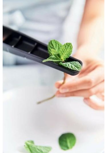 Tupperware Sarımsak Ez