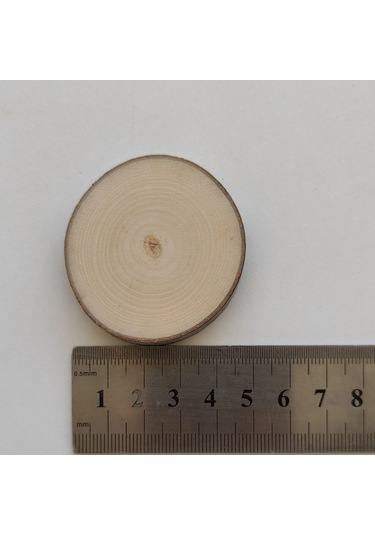 25 Adet Boyanabilir Hediyelik Anahtarlık Kütük Dilimi 3-5 Cm-boş