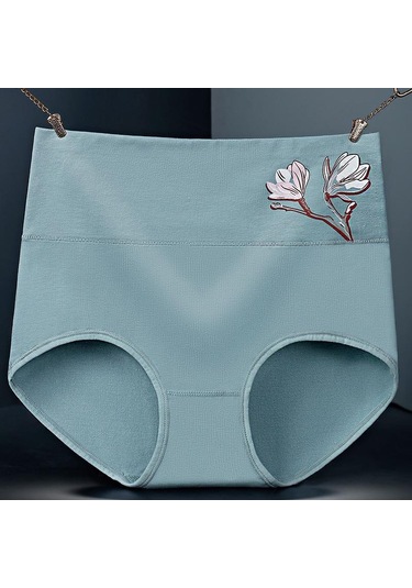 Göl Mavisi Pamuk Baskılı Yüksek Bel Kadın İç Çamaşırı Doğum Sonrası Kadınlar İçin Nefes Alabilir Ve Minimalist Rahat Külot Göl Mavi