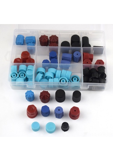 Ranyeek Otomobil Klima Bakım Tulumu, 77 Adet Standart Servis Port Kapakları, Çoğu Model Uyumlu, Kolay Kurulum, Dayanıklı Abs Malzeme, Saklama Kutusu İçerir